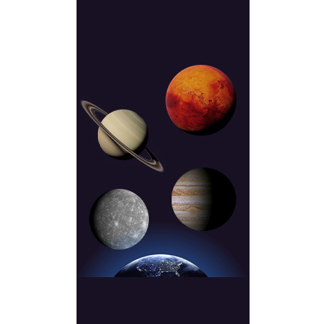 profesyonel web tasarım