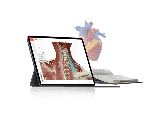 Healthcare solutions