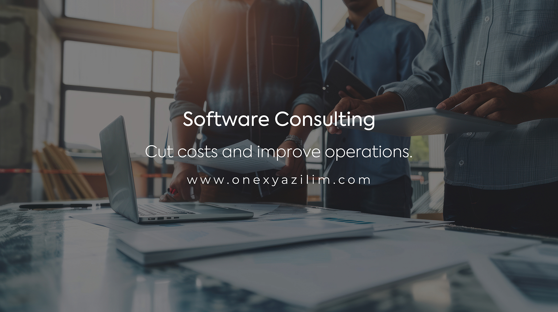 Software Consulting Company