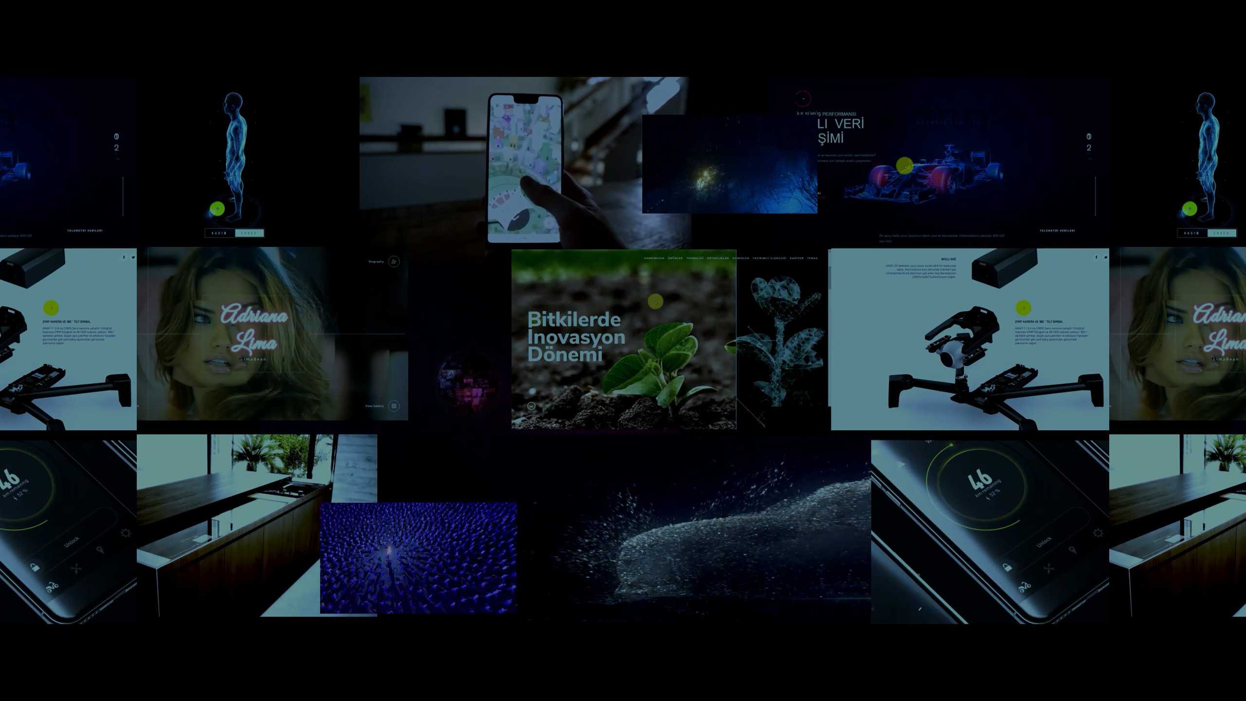 web tasarım firması